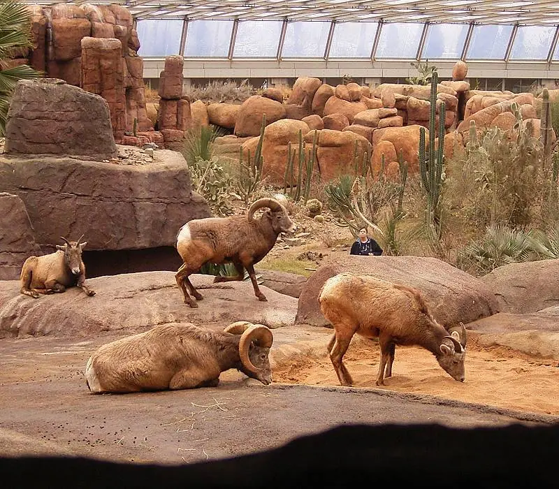 Burgers' Zoo in Arnhem