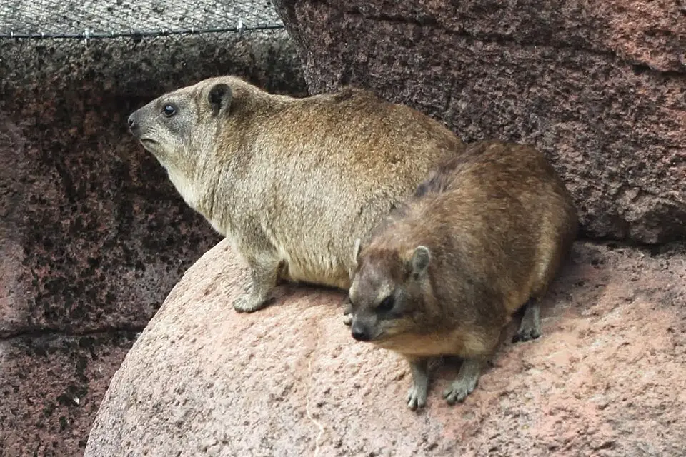 GaiaZOO in Kerkrade