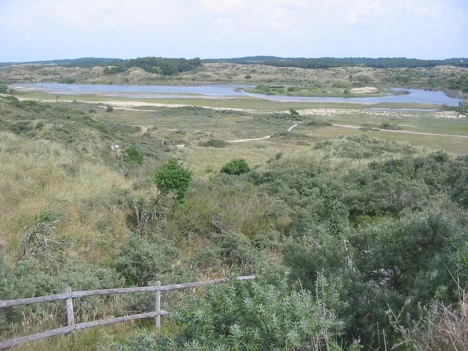 Nationaal Park Zuid-Kennemerland in Overveen