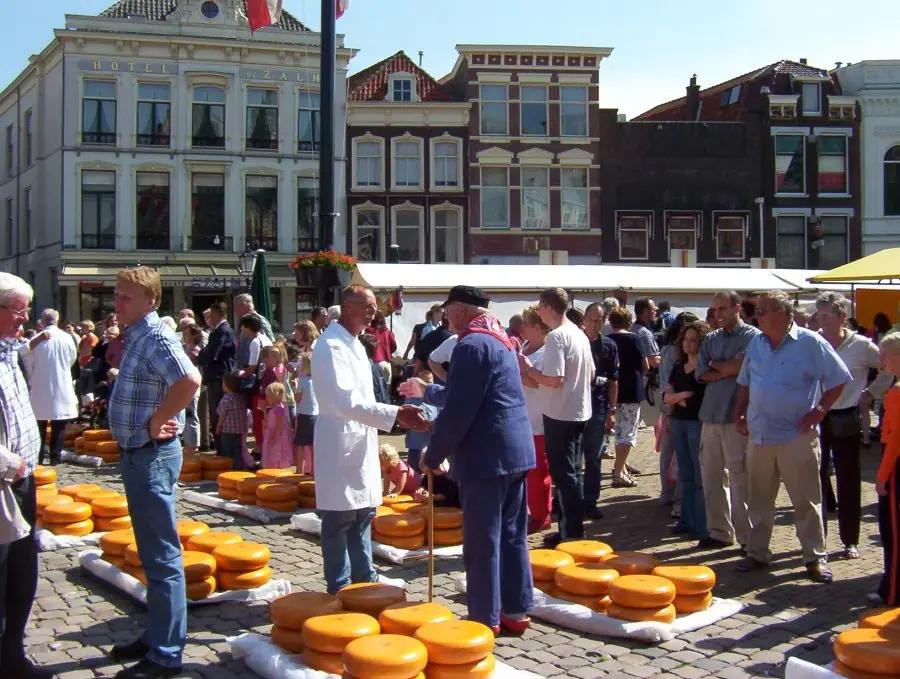Goudse Kaasmarkt in Gouda