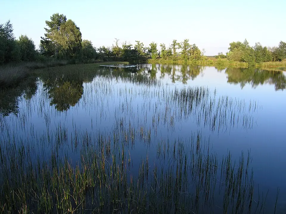 Nationaal Park De Hoge Veluwe in Otterlo