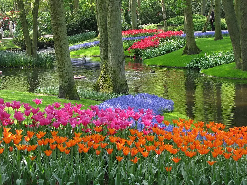 Keukenhof in Lisse